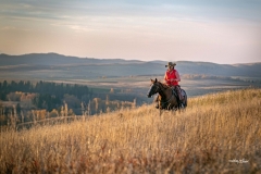 Ridge Rider