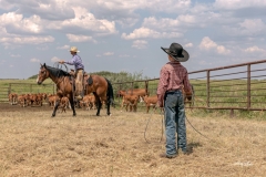 Succession Plan