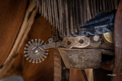 Tools of the Trade