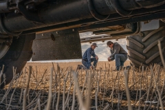Assessing the soil in a canola stubble field