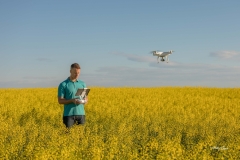 Flying the Drone