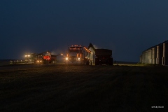 Harvest Lights