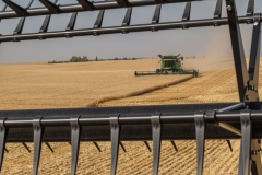 Harvest View