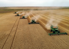 Deere Herd