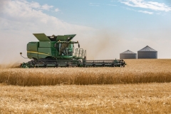 A John Deere combine harvests Canadian wheat