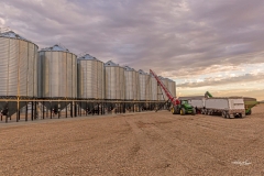 Unloading the Harvest