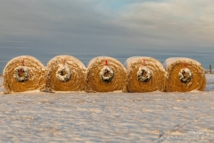 Country Christmas Decorations
