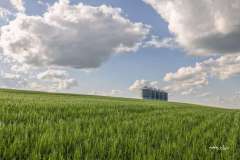 Barley-and-Bins-11593