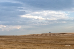 Crop Watchers