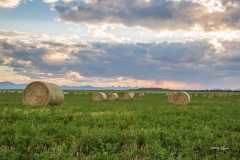 Round Hay Bales